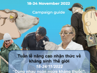 TUẦN LỄ NÂNG CAO NHẬN THỨC VỀ KHÁNG SINH TRÊN THẾ GIỚI NĂM 2022 “CÙNG NHAU NGĂN NGỪA KHÁNG THUỐC”