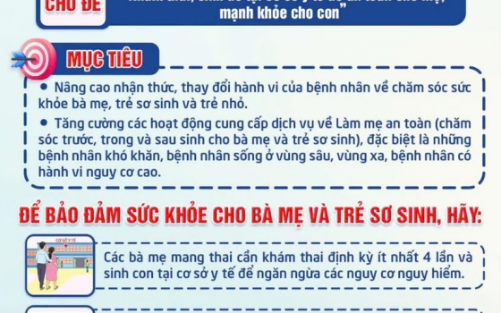 Tuần lễ Làm mẹ an toàn năm 2024 được tổ...