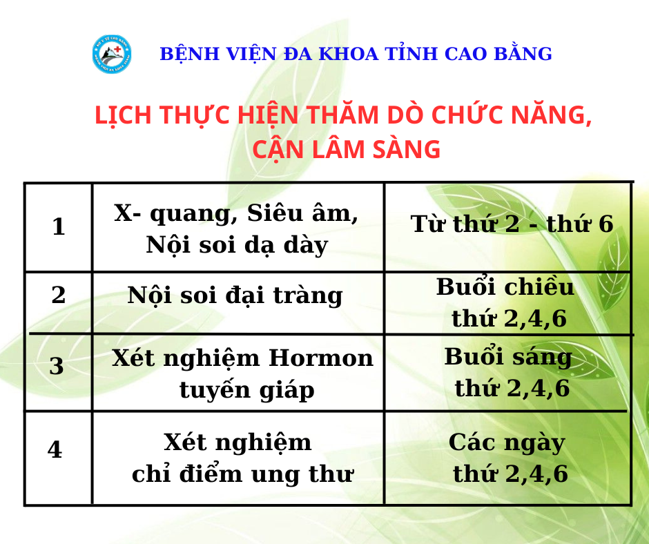 LỊCH THỰC HIỆN THĂM DÒ CHỨC NĂNG CẬN LÂM SÀNG TẠI casino online tutbn
